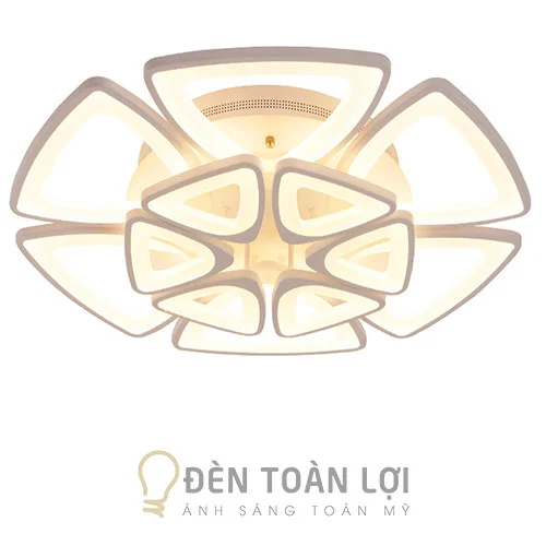Đèn ốp trần màu đen LED cho nhà chung cư