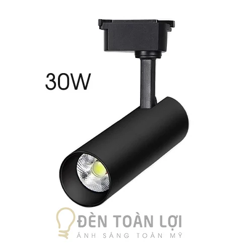 den-roi-ong-dai-30W-Toan-Loi