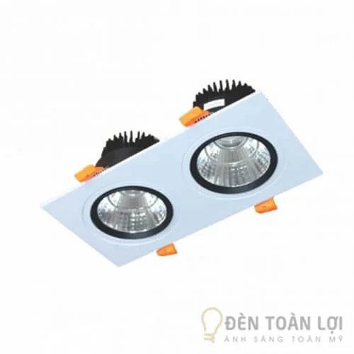 Đèn LED Downlight Vuông Chiếu Điểm 2x5W DFC2051