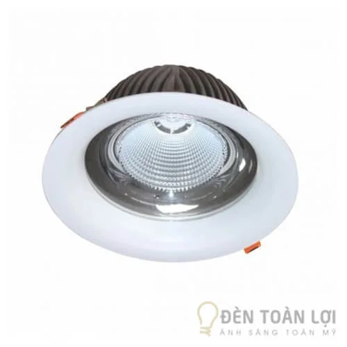 Đèn LED Downlight chiếu sâu trần cao 10W DFA0103