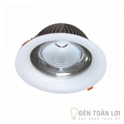 Đèn LED downlight chiếu sâu trần cao 10W DFA0103