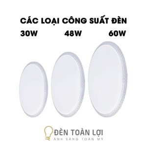 Mẫu đèn ốp trần có hoa văn chiếu sáng và trang trí phòng khách 30W 48W 60W