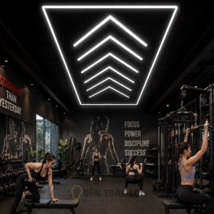 Đèn gara / gym kiểu 6 xương cá 432W