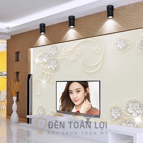 Đèn ống bơ gập chiếu tường tivi