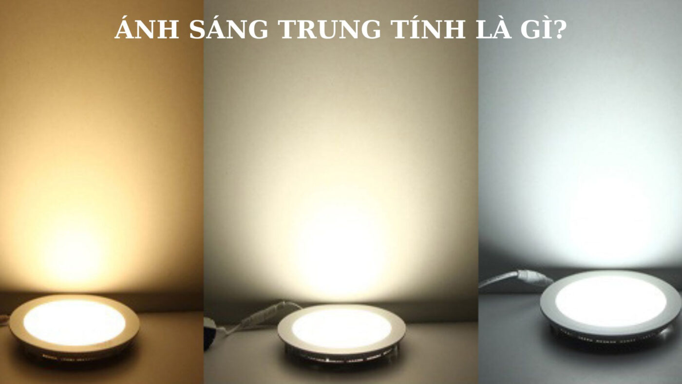 Ánh sáng trung tính là gì
